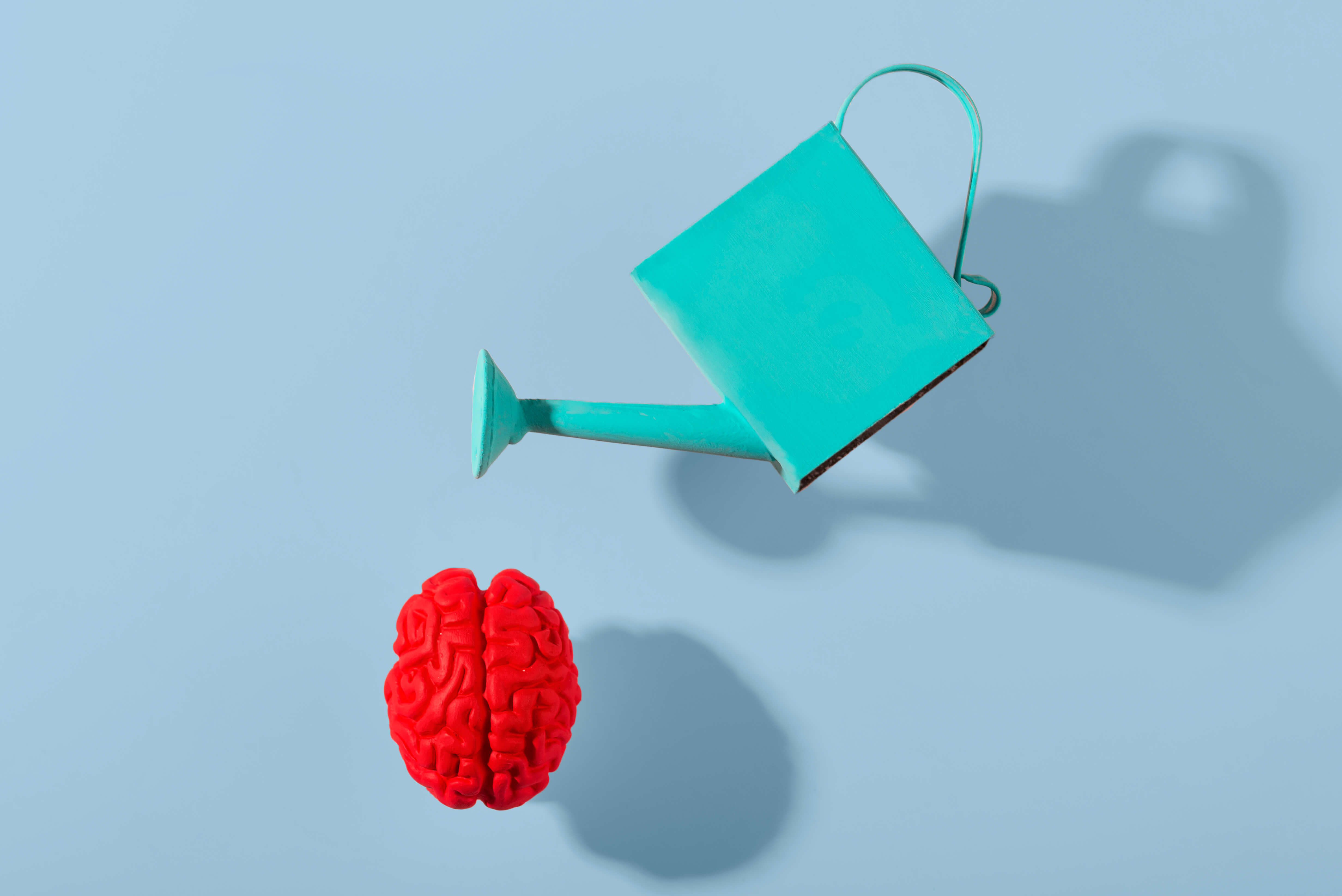 Watering can over red brain